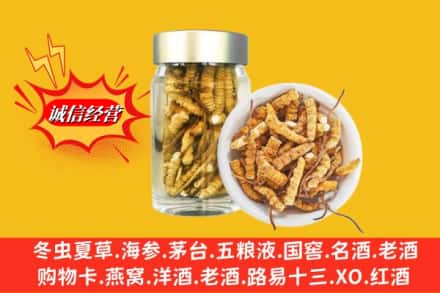 宜昌兴山县回收散虫草