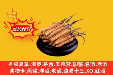 宜昌兴山县名酒回收冬虫夏草.jpg